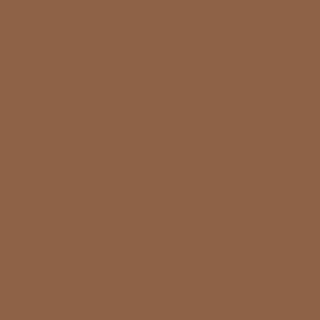 Brown Paint Color: Bad Boy Bronze MT6 — Bridget Beari® Colors