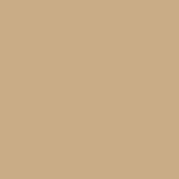 Benjamin Moore 2163-50 Chambray Beige Precisely Matched For Paint and Spray  Paint